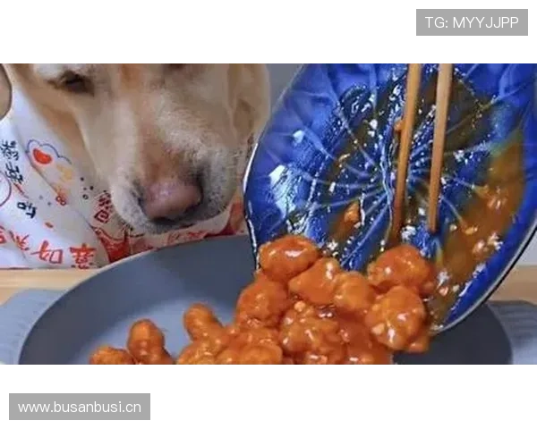 颜骏凌家的狗吃的都比我好